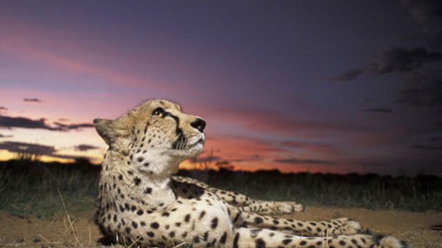 updated by sc EJ TALK&hellip;