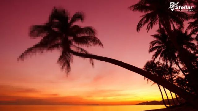 Test activity log data 3