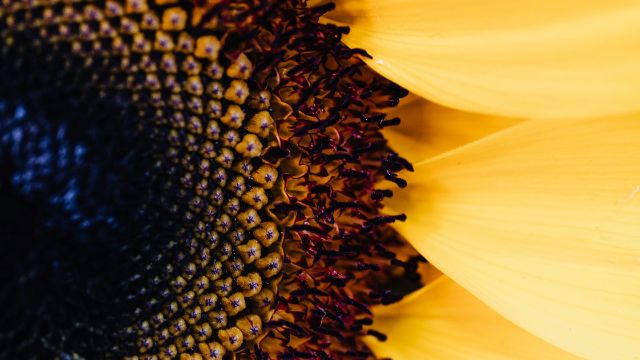 NT test webcast final testing on test01